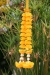 image_0