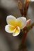 image_1