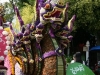 image_0