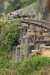 image_1